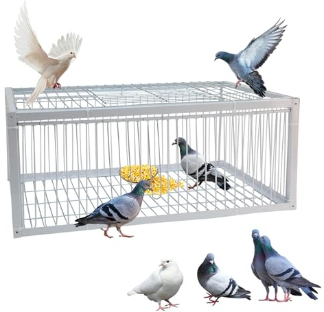 Gabbia per piccioni, gabbia per piccioni con ingresso unidirezionale su 4 lati e 1 lucernario per piccioni, pappagalli, parrocchetti e altri uccelli - 63x43x26 cm