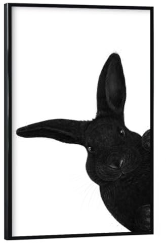 artboxONE Poster mit schwarzem Rahmen 75x50 cm Natur Schwarzer Hase - Bild Kaninchen grafikdesign gucken