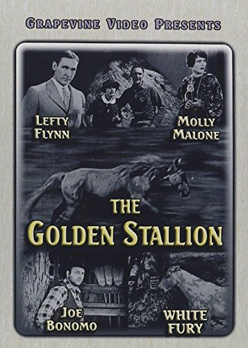 GOLDEN STALLION (1927)