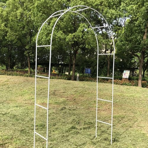 Pergola tonnelle en métal durable - Treillage pour décoration de mariage et plantes grimpantes - Cadre stable avec base - Blanc - 240 x 220 cm (l x H)