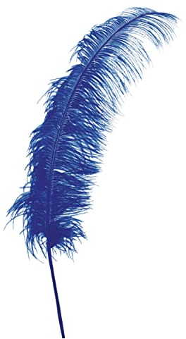 Guirca Choix des couleurs de plumes autruche géante 45-50 cm