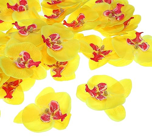 PATIKIL 3.9 Artificiale Orchidea Fiore Teste, 40pz Seta Phalaenopsis Finto Farfalla Orchidea Teste per Matrimonio Floreale Bouquet Decorazione, Giallo