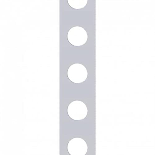 Montageband TM 15/10 Lochband verzinkt Montagelochband Rolle 12 x 0,7 mm x 10 m
