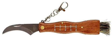 Coltello da Funghi con Manico in legno Lama in acciaio inox 7 cm con Pennello righello e Moschettone