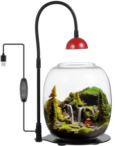 Terrarium pour plantes succulentes avec lampe de croissance, minuterie alimentée par USB pour jardins intérieurs, vase en verre pour mousse et poisson