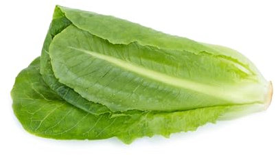 Just Seed Lettuce Winter - Winter Density -1200 Seed