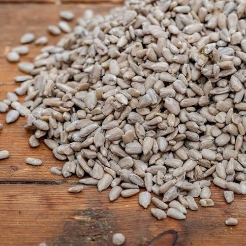 TBA Sunflower Hearts Wild Bird Feed- PREMIUM KERNELS ALL YEAR ROUND SEED (5KG)