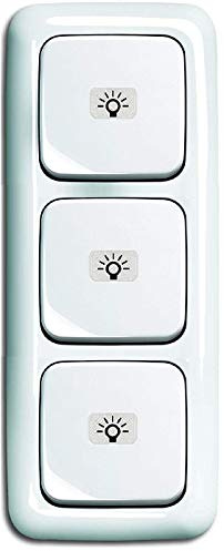 Busch-Jaeger (Original) Lichtschalter Set (3x Licht) mit Licht Symbol - permanent beleuchtet - 2x Taster 2020 USGL + 1x Wechselschalter (AN/AUS) 2000/6 USGL-3fach Rahmen-Reflex SI alpinweiß-3x 2145 LI