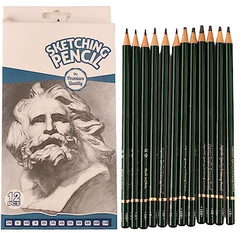 Paquete de 12 Lápices de Dibujo, Lápices de Carbón Cilíndricos, Juego de Dibujo de 12B a 2H, Kit de Lápices de Dibujo de Grafito, Agarre Cómodo, Lápiz de Dibujo para Colorear