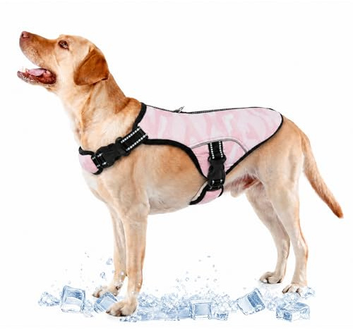 PUMYPOREITY Hund isväst, kylväst för sommar iskylrockar för hundar kylande hjälp kyljacka hund kylkläder med justerbara remmar och D-ring (rosa, 2XL)