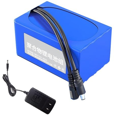 HJGHY Batería de polímero de Litio de 12 V, 24 V, 3000 mAh, 5000 mAh, 8000 mAh, 10 000 mAh y 15 000 mAh, Recargable con Puerto de CC para Tiras LED y cámaras CCTV.