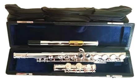 Querflöte Versilberte Flöte 16 Löcher Geschlossen C-Tonart Kupfer-Nickel-Gold Musikinstrument Mit E-Tonart-Flöte