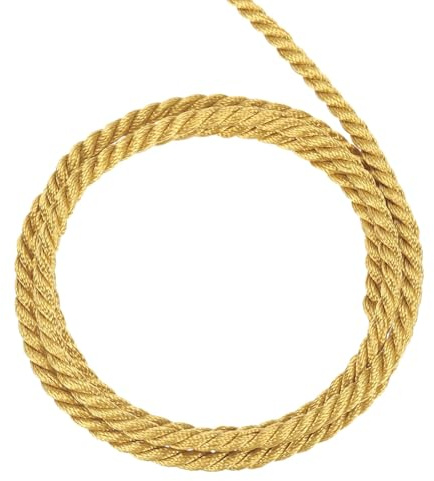 QUARKZMAN Corda Intrecciata in Poliestere 10m, 4mm 3 Strati Cordino Decorativo Ritorto Flessibile Brillante per Tenda Artigianato Regalo Borsa Decorazioni Natalizie, Oro Champagne - 11ft