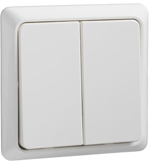 Elso Taster 2-Fach flach 1 A.42 V Ren, reinweiß, 506354