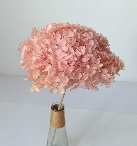Flores de hortensia preservadas con tallos, flores secas naturales prensadas, flores secas naturales reales para centro de mesa de boda, jarrón de bricolaje, manualidades, decoración del hogar, 16