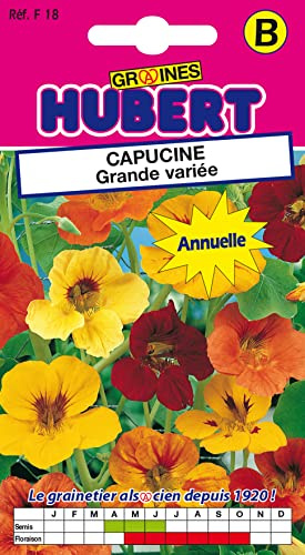 Graines de Capucine Grande variée - 3 grammes | Semencens reproductibles