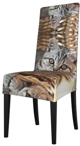 EdWal Stuhlhussen mit Katzen-Motiv, wasserdicht, dehnbar, für Esszimmer, Küche