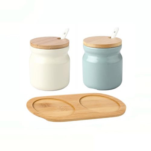 MIATTCLD Juego de 2 tarros de especias de cerámica, recipiente para especias, azucarero con tapa de bambú, cuchara y bandeja, 300 ml, recipiente para especias, salero, almacenamiento de sal, especias