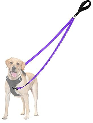 PetBonus Two Point Control Dog Leash, Works with No Pull Harnesses, No Tangle Training Leashes, Soft Padded and Reflective Walking Lead, Converts to Single Lead for Medium Large Dogs (Purple)