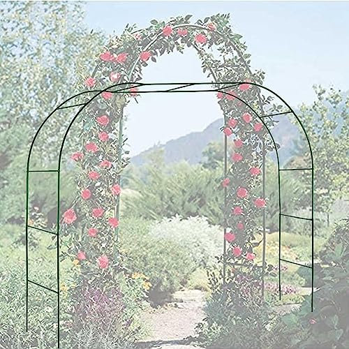 Arche de jardin en métal solide pour plantes grimpantes - Décoration de jardin - Noir et vert - 2,4 x 2,2 m