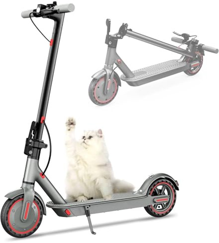 Motor Alta Potencia 350W Scooter Eléctrico,NeumáTico SóLido De 21,6 Cm,hasta 25 Km/H and Distancia 35Km,Sistema de Doble Freno, Escooter Plegable para Adultos,Carga MáXima 120 Kg,Control App(Rojo)