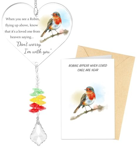 FIDWALL Robin Memorial Gifts for Loved Ones, Acrylic Heart Hanging Plaque Keepsake with Poem and Sympathy Card, Remembrance Ornament, Grave Decorations In Memoriam