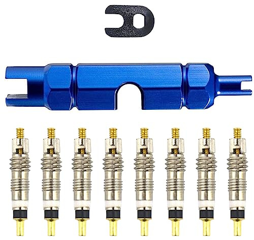 ASYKNM 10 Pezzi Nucleo Valvola, Kit Valvola Bici, Nucleo Valvola Bici, Kit sostituzione Valvola Presta, Strumento Rimozione Nucleo Valvola, per Pneumatici da Bicicletta