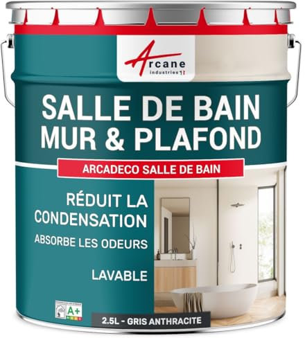 Peinture salle de bain, mur et plafond, condensation - 2.5 L Gris Anthracite - RAL 7016 - ARCANE INDUSTRIES