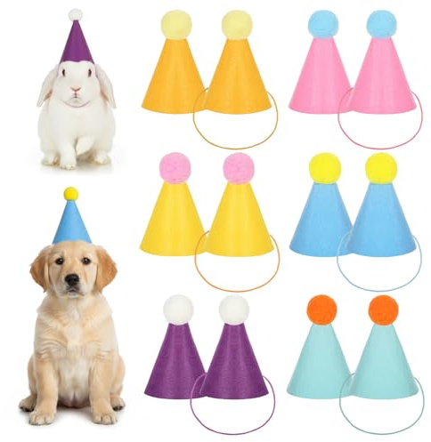YBEATY 12 Stück Mini PartyhüTe FüR Stofftiere Winzige GeburtstagshüTe Bunte SchöNe Papierkegel Diy Verstellbarer Feiertagshut FüR Hunde Katzen Kaninchen Welpen Verschiedene TierGeburtstagsdekorationen