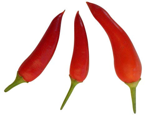 1.000 Chili Samen/Saatgut -Sortenauswahl- (Für Händler,Privat und Gärtnereien) *Saatguthandel Samenchilishop* (Nachzipfel Rot/Red -mild-)