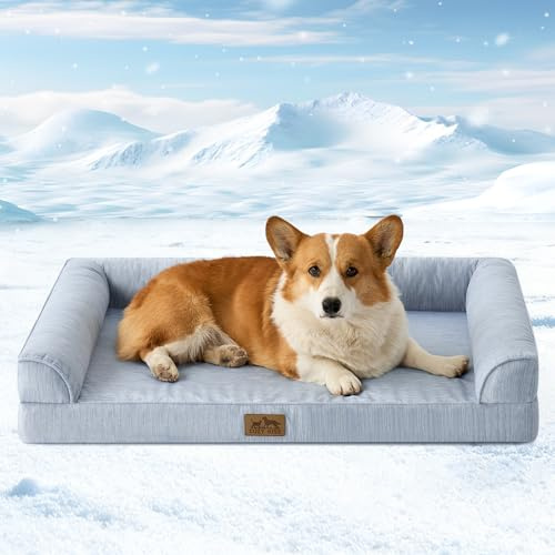 COZY KISS Kühlende Orthopädisches Hundebett für Mittelgroße Hunde 91x69x16cm - Q-Max>0.4 Sommer Ergonomische Hundesofa mit abnehmbarem und waschbarem Bezug & Eierkisten-Schaumstoff, Hellblau