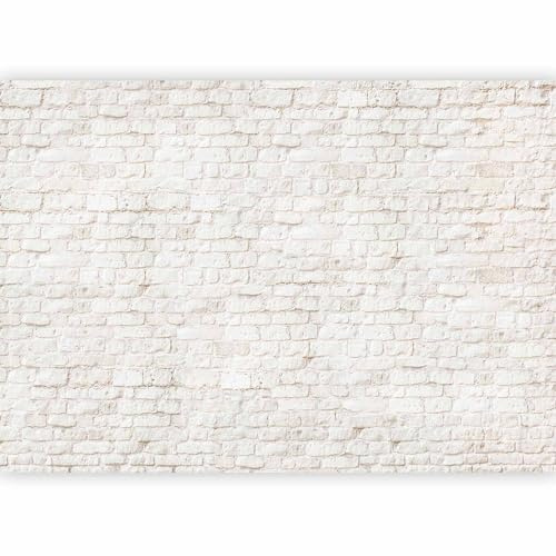 murando - Fototapete Vlies Ziegel, 400x280 cm, Schlafzimmer, Wohnzimmer | Full HD Druck, 3D-Effekt, lichtbeständige Farben, ideal fürs Wohn- oder Schlafzimmer, schnelle Montage, lichtbeständig, edel