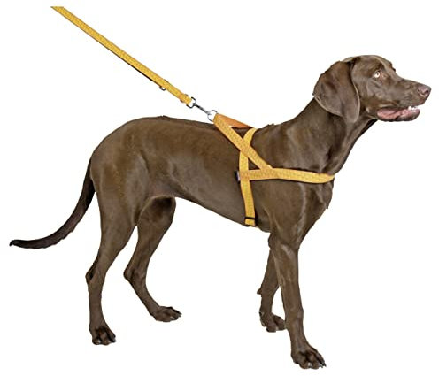 Kerbl Pet 81058 Norweger Geschirr reflektierend 20mmx60-75cm, 0.094 kg