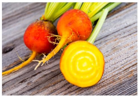 Sachet de graines de betterave golden eye à semer- Les Graines Bocquet