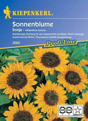 Sperli Blumensamen Sonnenblume Sonja, grün