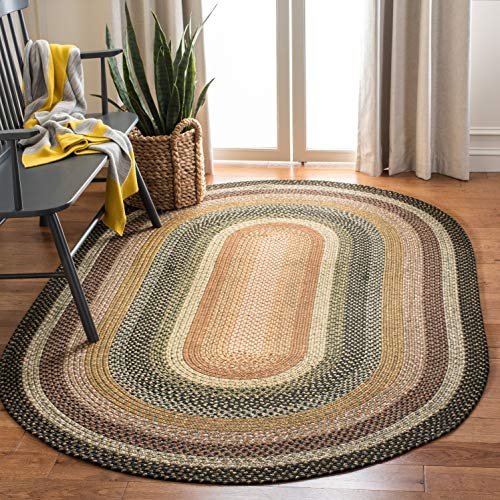 SAFAVIEH Braided Indoor/Outdoor Washable Oval Rug 8x10, Large Multi BRD308A