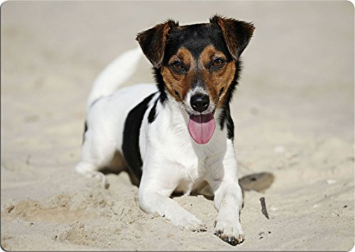 +++ Jack Parson RUSSELL Terrier - SCHNEIDEBRETT Dekoteller Glasbrett Dekoglas - JPR 01