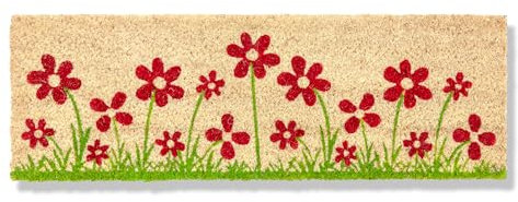 Astra Fußmatte innen beige Schmutzfänger rutschfest – Kokosmatte antibakteriell strapazierfähig - Türmatte 25x75 cm – Schmutzfangmatte 100% Kokos