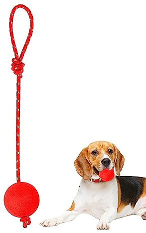 Poupangke Wasser-Schwimmspielzeug für Hunde, interaktive Seilbälle, elastische Vollgummi-Hundebälle, Kauspielzeug für mittelgroße und große und kleine Hunde, Gummi-Hundeseilbälle für Training, Fangen