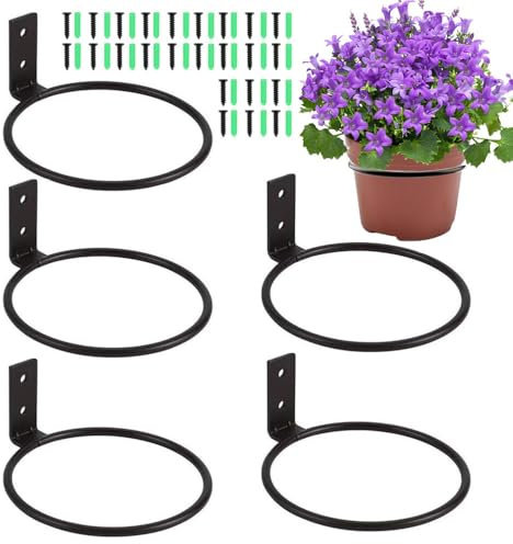 Esforzarse 6 Pezzi Staffa Anello Vaso di Fiori, Diametro Interno 10 cm, Supporto Da Parete Per Piante, Rotondo, Da Appendere Alla Parete, Per Casa, Ristorante, Balcone, Giardino(Colore Nero)