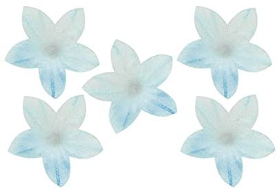 dekora – Tortendeko Essbar, Oblatenblumen, 400 mini Essbare Blumen für Torten, 2 cm, ohne Zucker, glutenfrei, laktosefrei für Hochzeit, Geburtstag, Taufe und Gender reveal