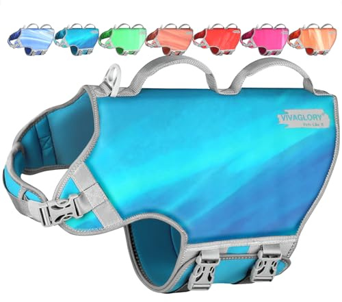 VIVAGLORY Hunde Schwimmweste Neoprene Hundeschwimmweste, XL, Petrol