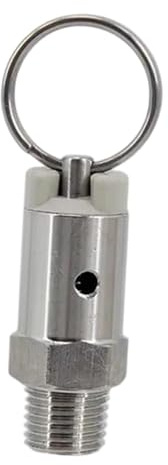 Milageto Soupape de décharge de pression pour fût de bière en acier inoxydable, facile à installer, compacte et professionnelle, filetage mâle NPT 1/4, 100 Psi