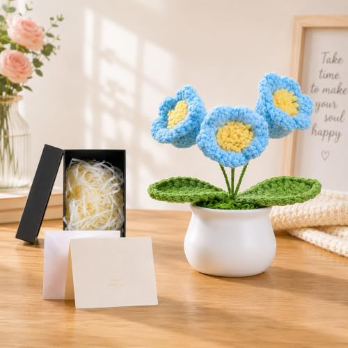LAIDANLA Blue Lily of the Valley Handmade Crochet Flowers Potted Plant | Forever Knitted Flowers for Desk Decoration Home Office Birthday Mother's Day Friendship Gifts with Card and Gift Box