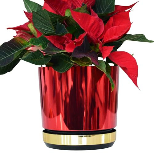 KERD Pot de Noël 18 cm Rouge Or Brillant pour Étoile de Noël | Cache-Pot Écologique Duo avec Soucoupe et Drainage | Décoration Festive