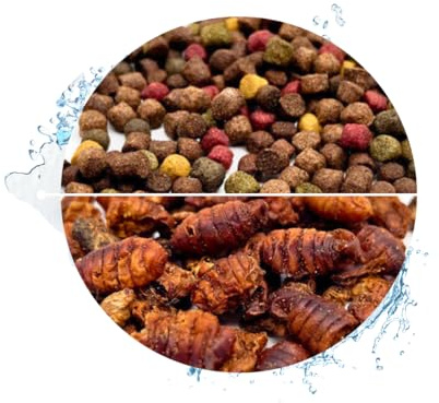 Warnick's Fischfutter Koifutter 5-Sorten-Mix 6 mm 15 L | + 1 L Seidenraupen, Fischfutter für Koi & Zierfische - Schwimmfähig & gut verdaulich - Farbverstärkend mit Spirulina