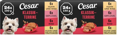Cesar Megapack Klassik-Terrine - Hundenassfutter in der Schale - 4 Varietäten im Multipack - 24 x 150g (Packung mit 2)