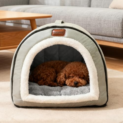PETCUTE 2-in-1 Katzenhaus für Drinnen, Katzenhöhle Indoor, Warmes Katzenbett mit rutschfeste Unterseite,Faltbare Hundehöhle mit Abnehmbarem Waschbar Kissen,für Katzen & Kleine Hunde,Grün,XXL