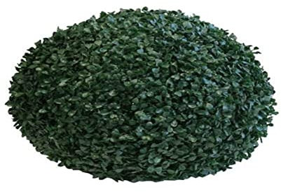 Papillon Seto Artificial Bola Boj 55cm