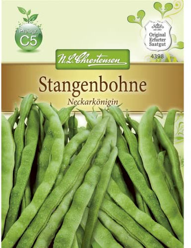 Chrestensen Stangenbohne 'Neckarkönigin' Saatgut